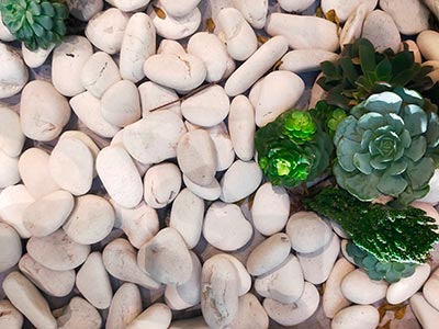 Gravels, Acworth, GA